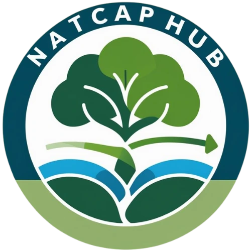 Natural Capital Valuation Hub